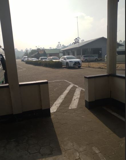 Description or Alt Text