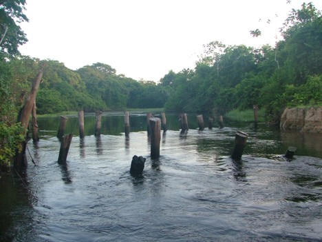 Description or Alt Text