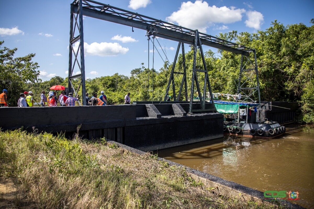 Description or Alt Text