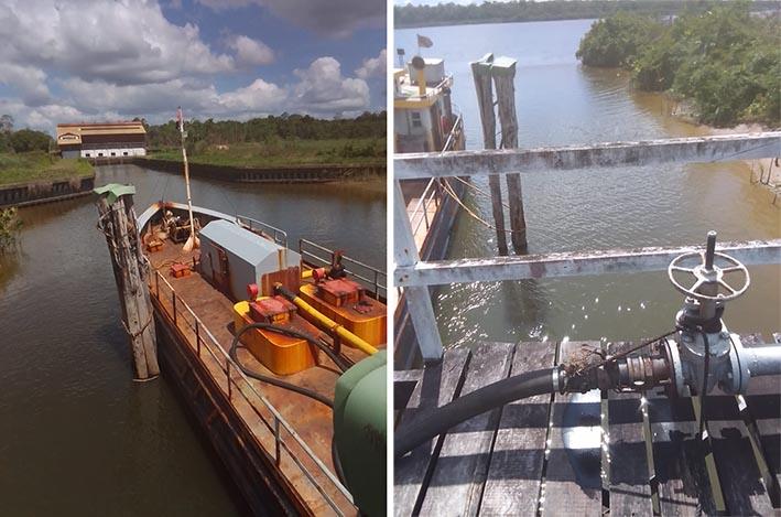 Description or Alt Text