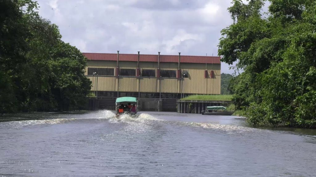 Description or Alt Text