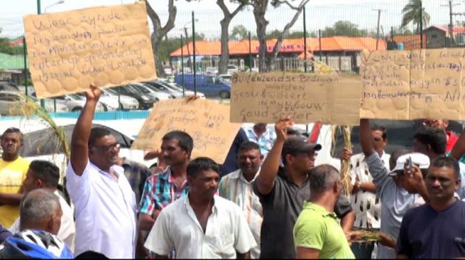 Description or Alt Text