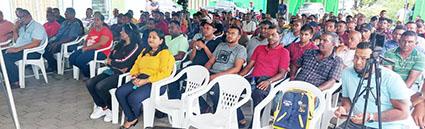 Description or Alt Text