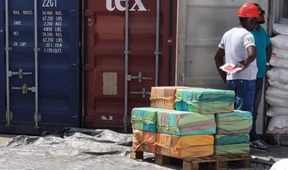 Description or Alt Text