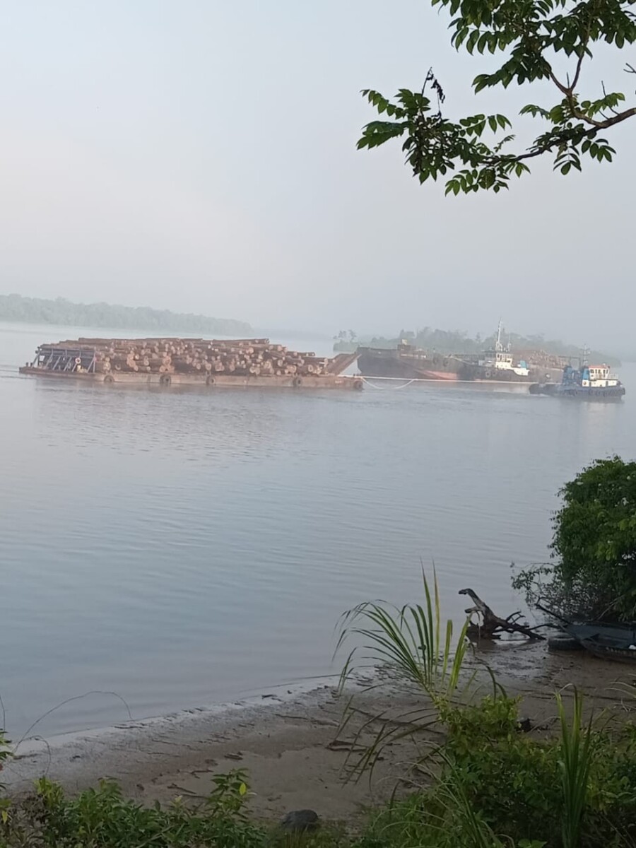 Description or Alt Text