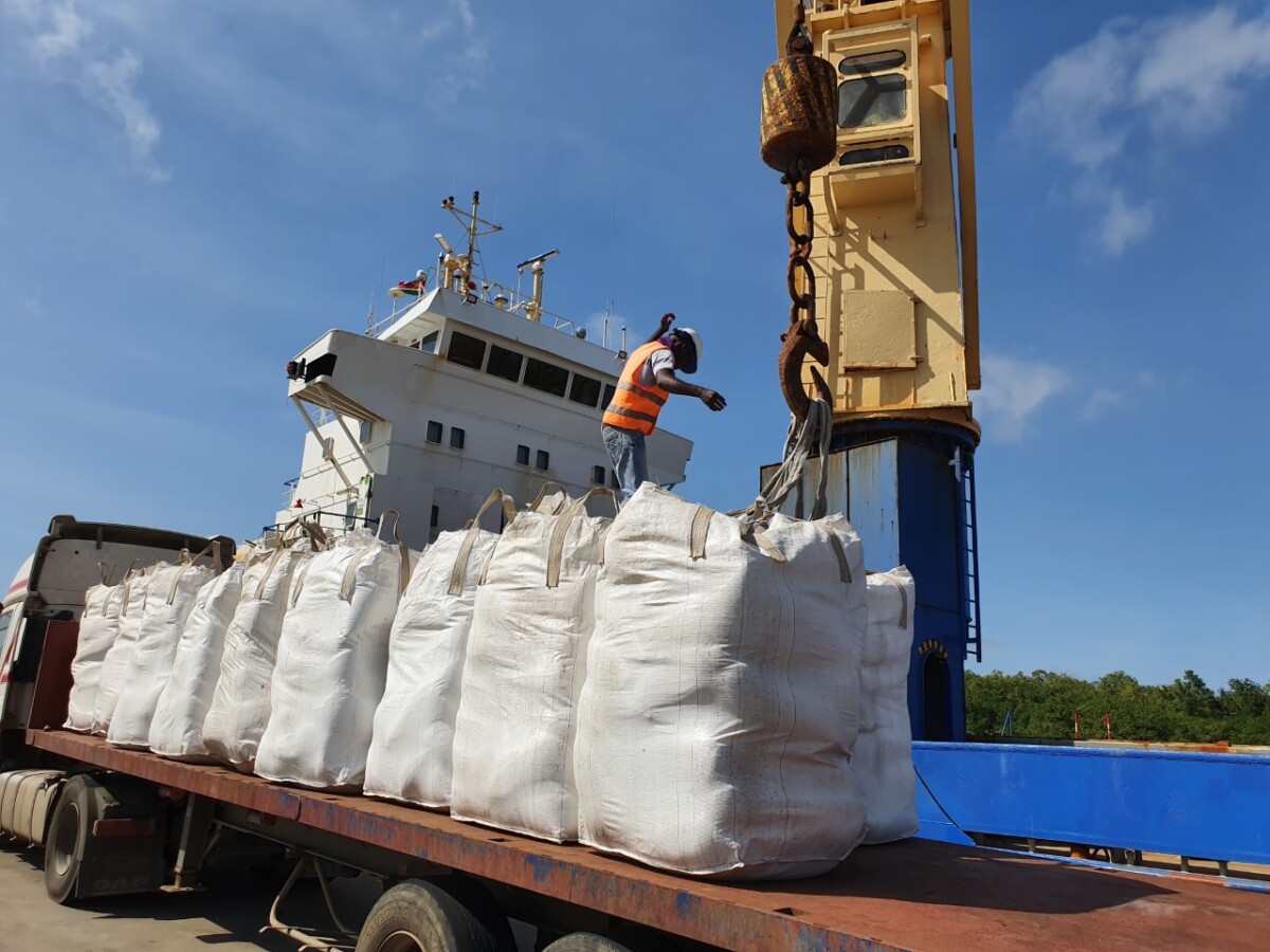 Description or Alt Text