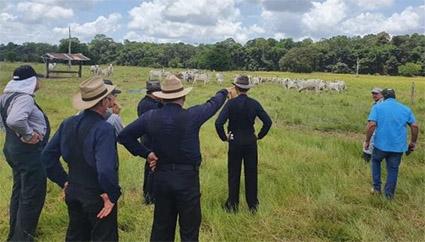 Description or Alt Text