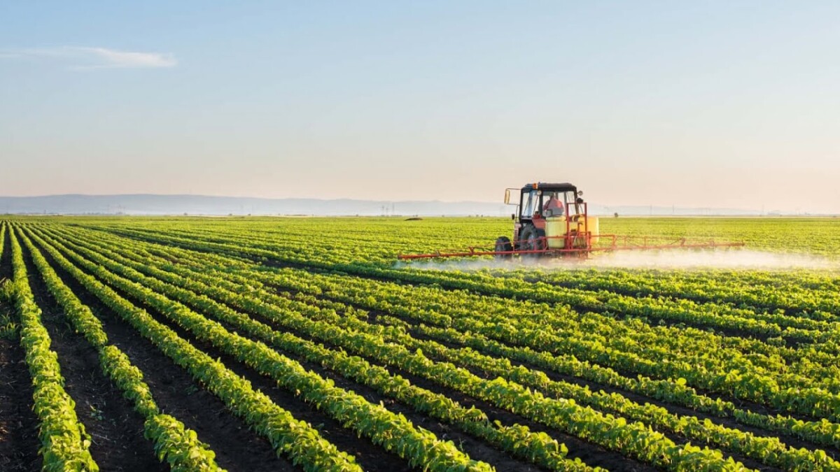 Description or Alt Text