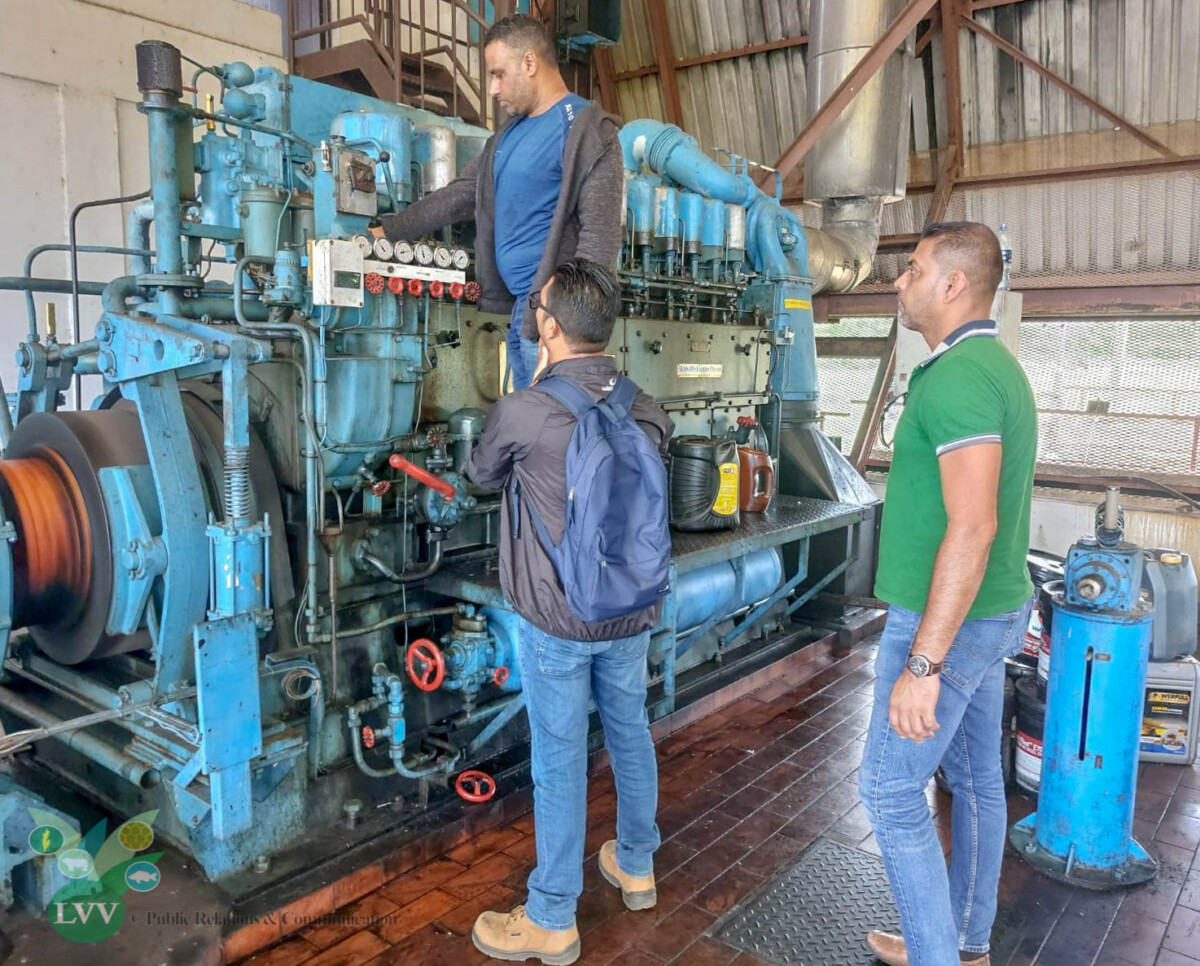 Description or Alt Text