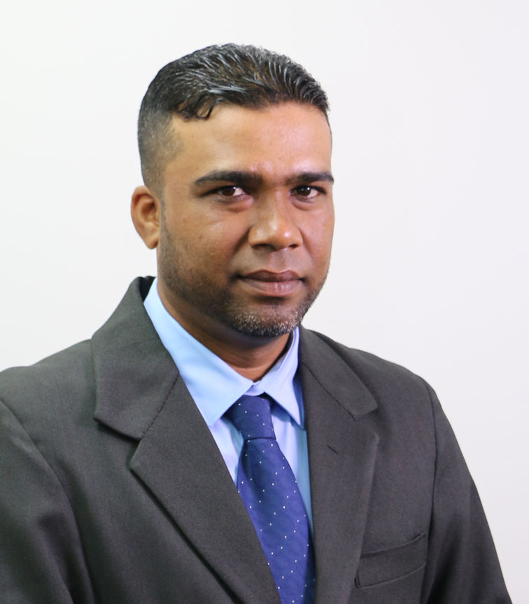 Description or Alt Text