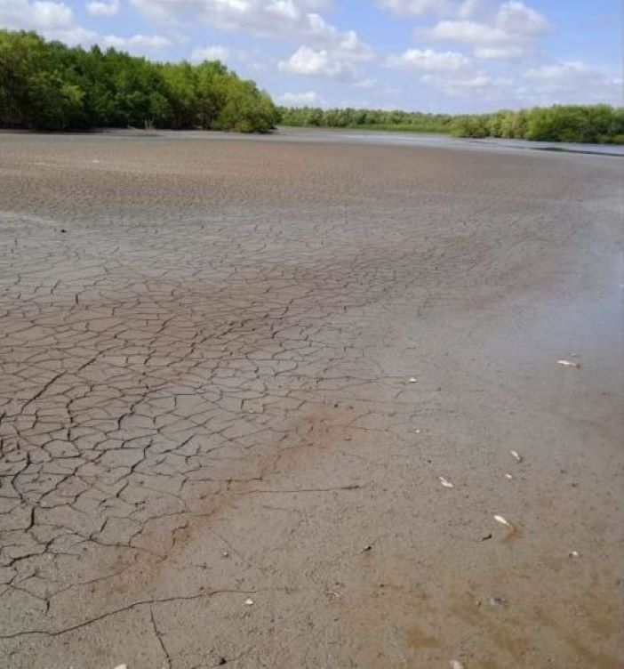 Description or Alt Text