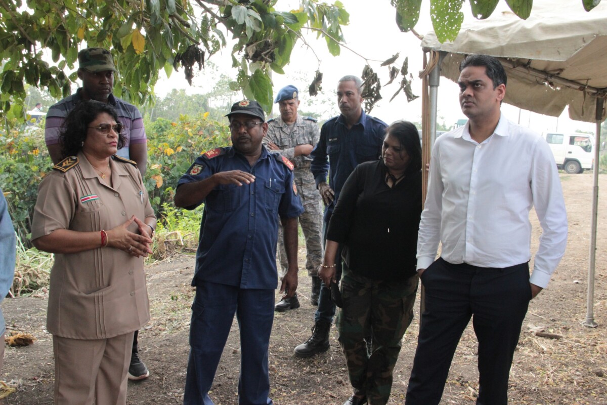 Description or Alt Text