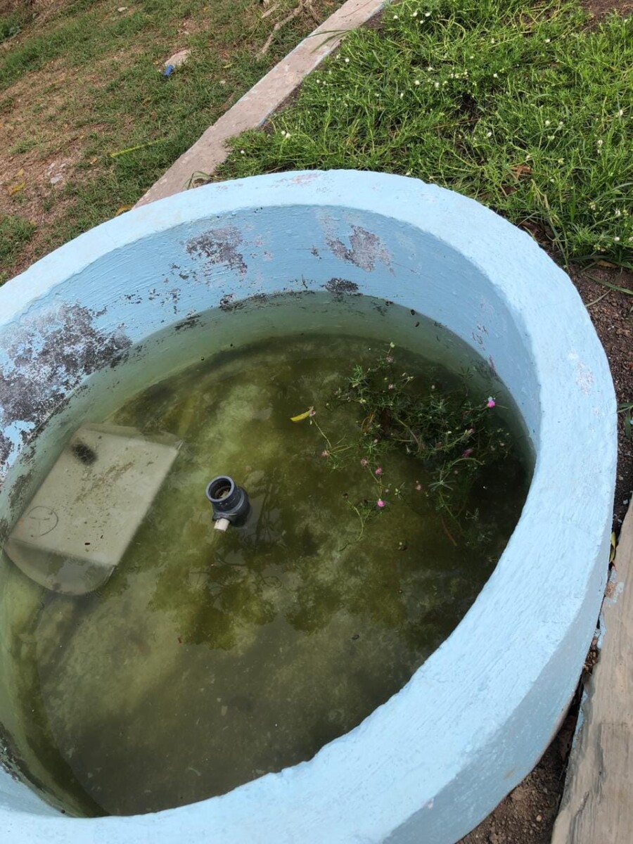 Description or Alt Text