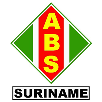 Description or Alt Text