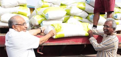 Description or Alt Text