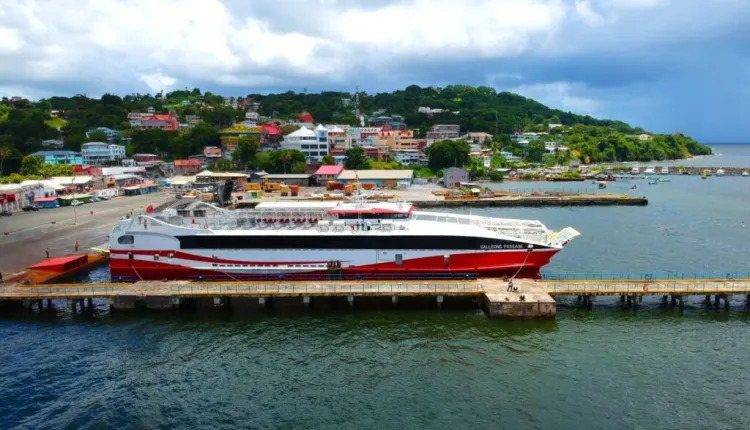 Description or Alt Text