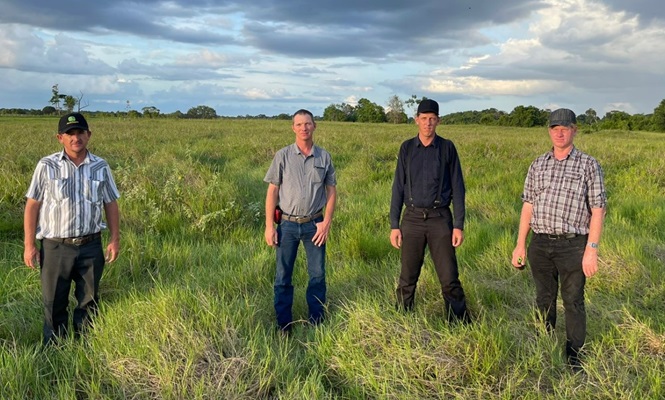 Description or Alt Text