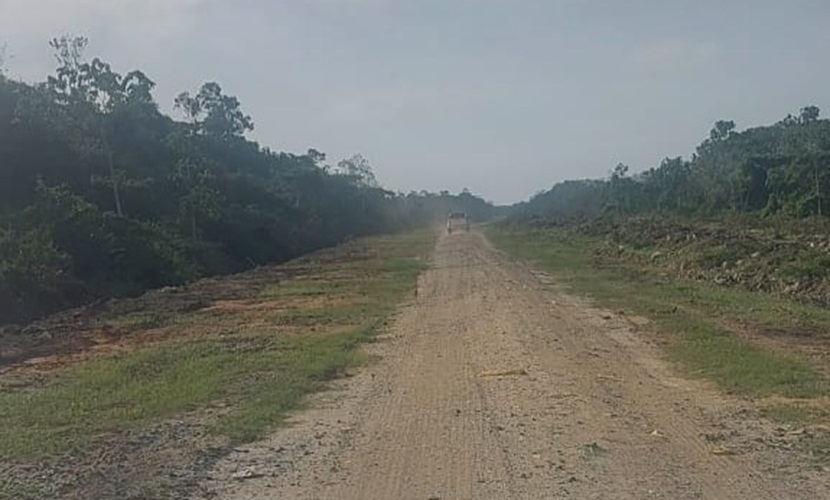 Description or Alt Text