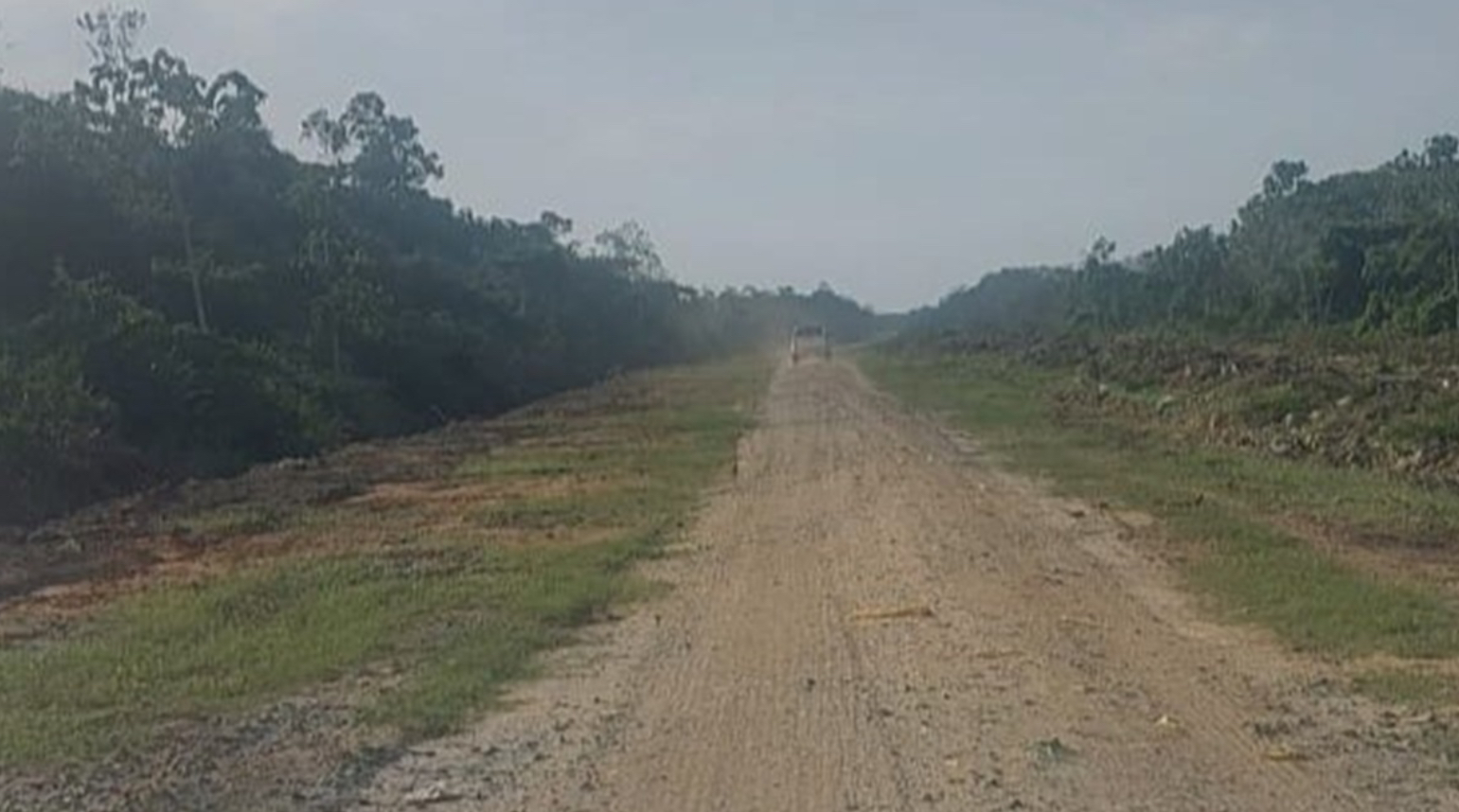 Description or Alt Text