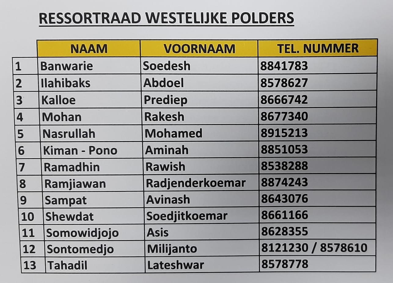 Description or Alt Text