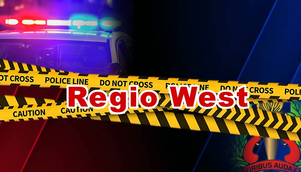 Description or Alt Text