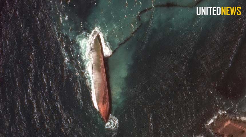 Description or Alt Text