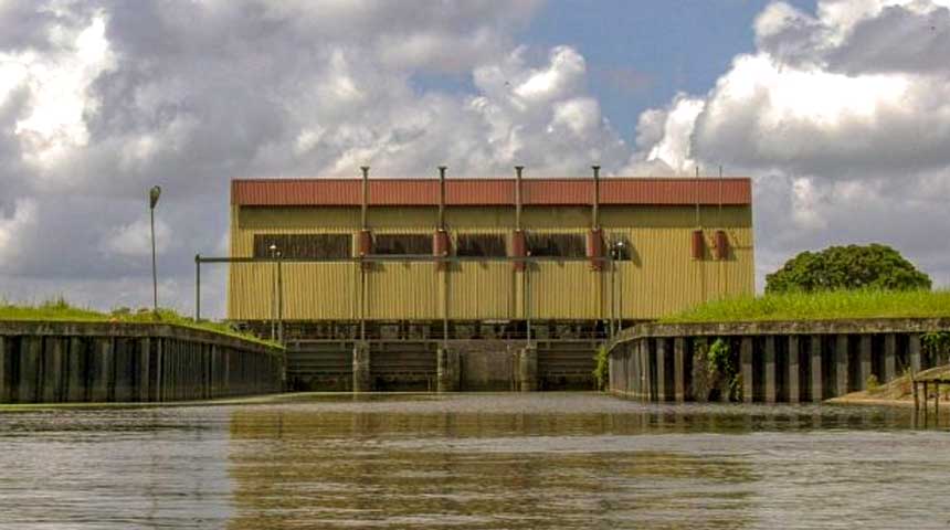 Description or Alt Text