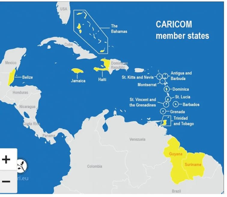 Description or Alt Text