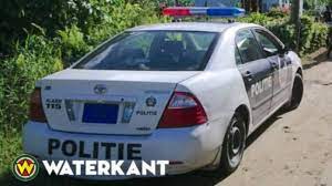 Description or Alt Text