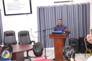 Description or Alt Text