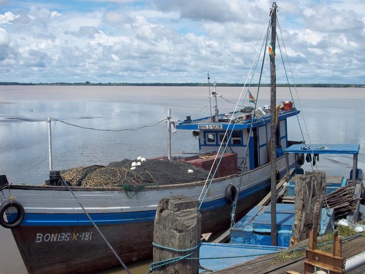 Description or Alt Text