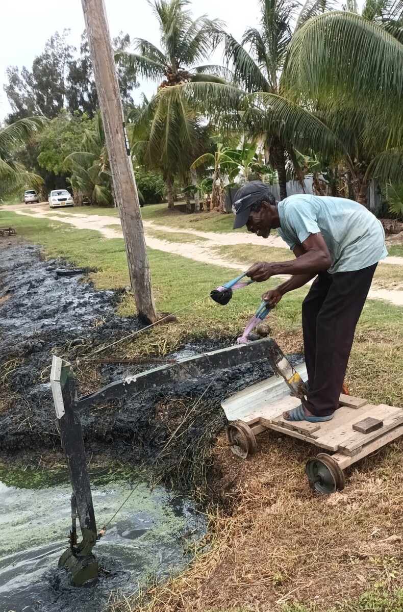 Description or Alt Text