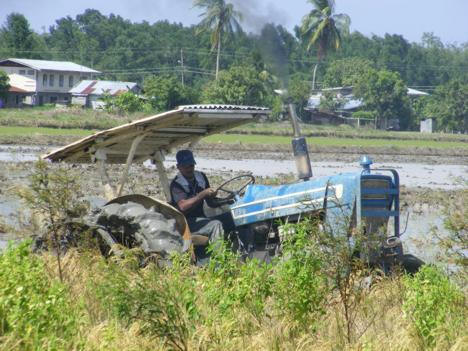 Description or Alt Text