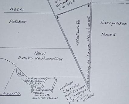 Description or Alt Text