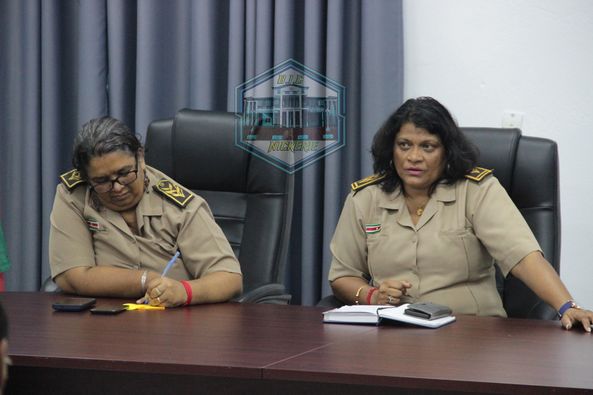 Description or Alt Text