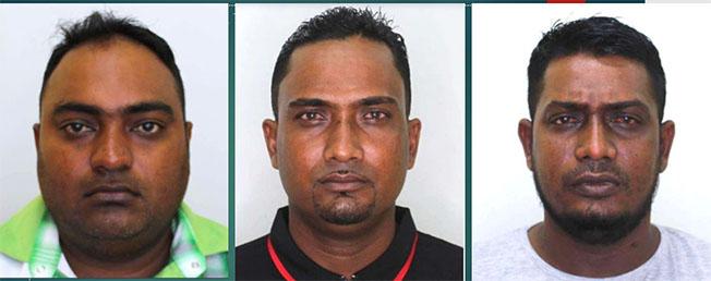 Description or Alt Text