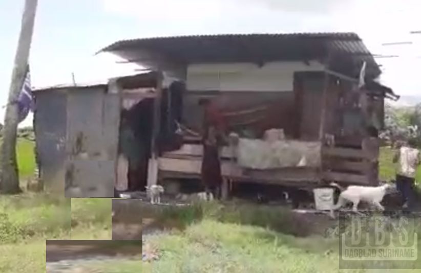 Description or Alt Text