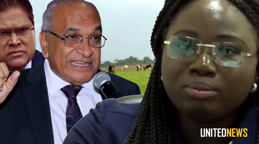 Description or Alt Text