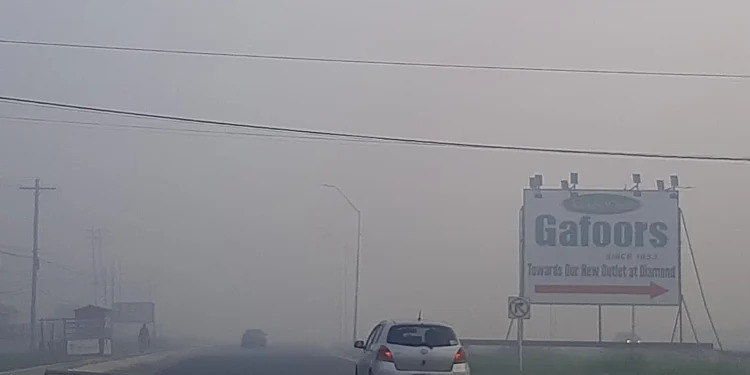 Description or Alt Text