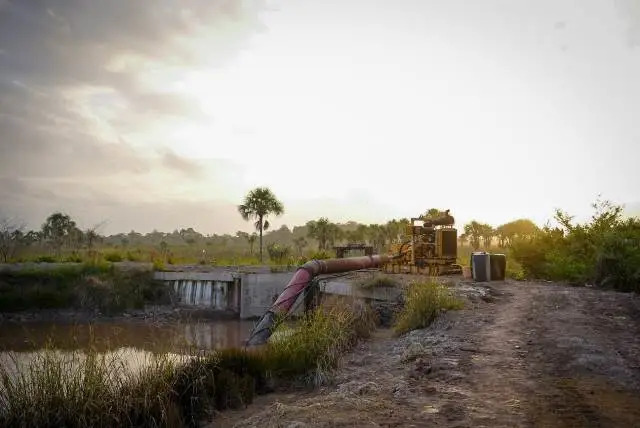 Description or Alt Text