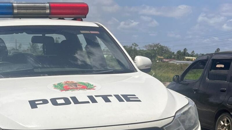 Description or Alt Text