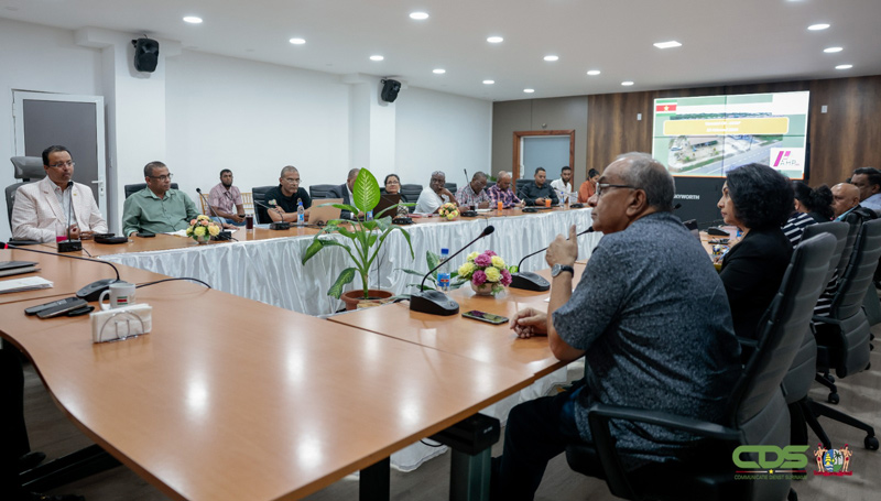 Description or Alt Text