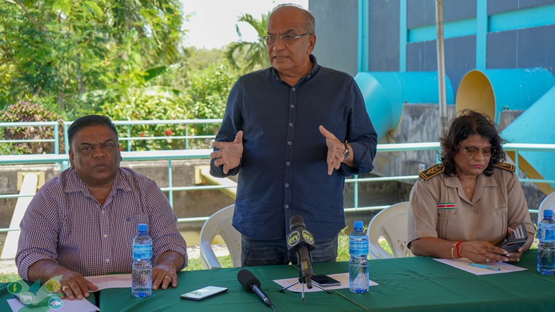 Description or Alt Text