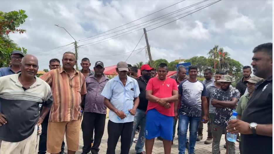 Description or Alt Text