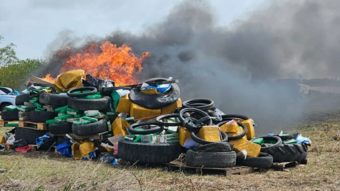 Description or Alt Text