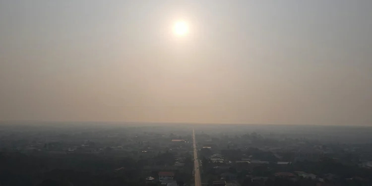 Description or Alt Text