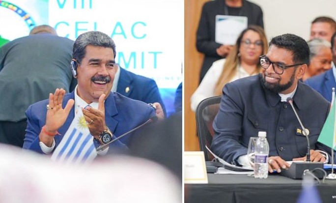 Description or Alt Text