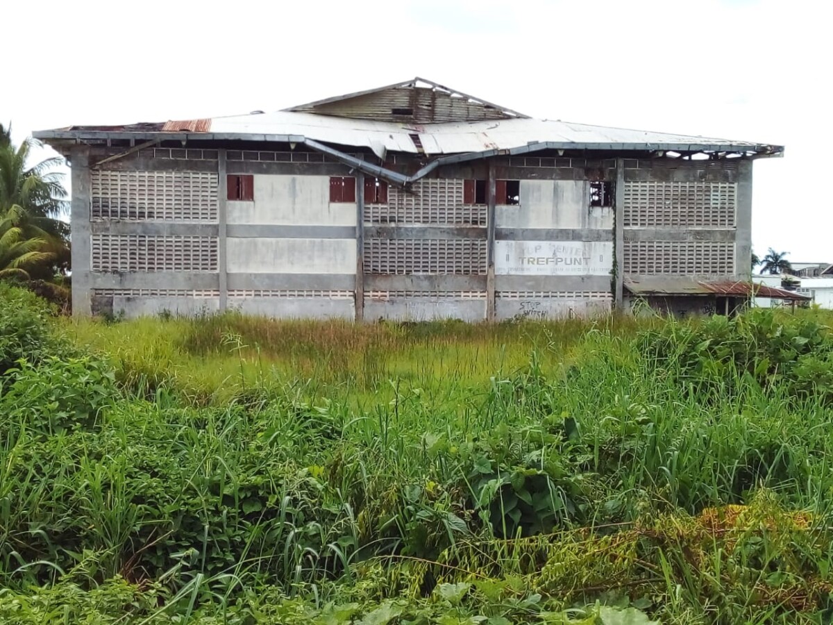 Description or Alt Text