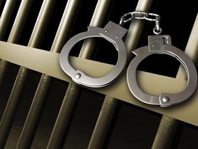 Description or Alt Text