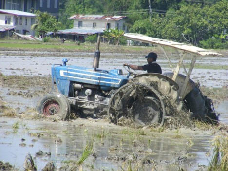 Description or Alt Text